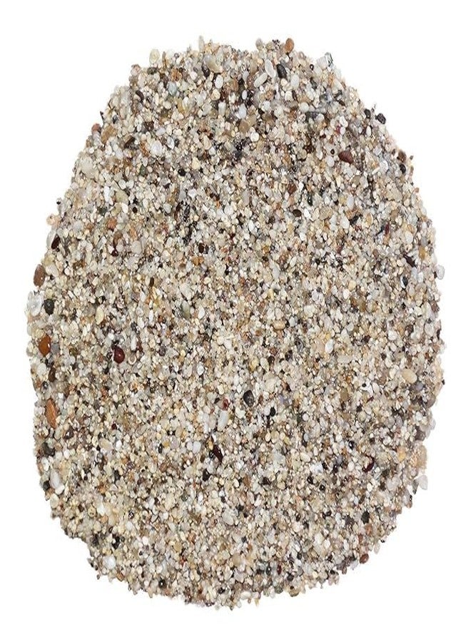 Maalavya for Aquarium Decoration 1Kg Pearl Sand Substrate Sand |Soil Stone Gravel Pebbles - Image 3